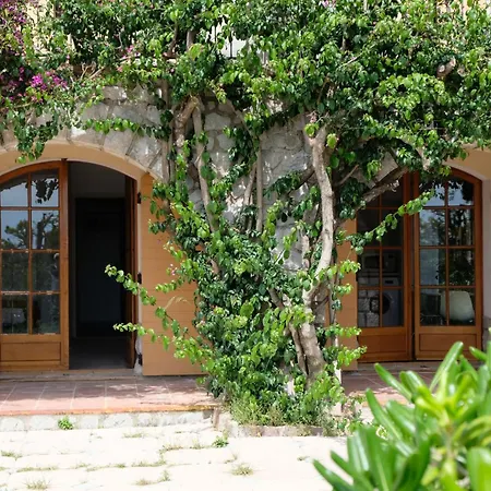 Ferienwohnung Mas Sainte Marie Toulon Exterior foto